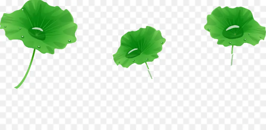 Folhas Verdes，Plantas PNG