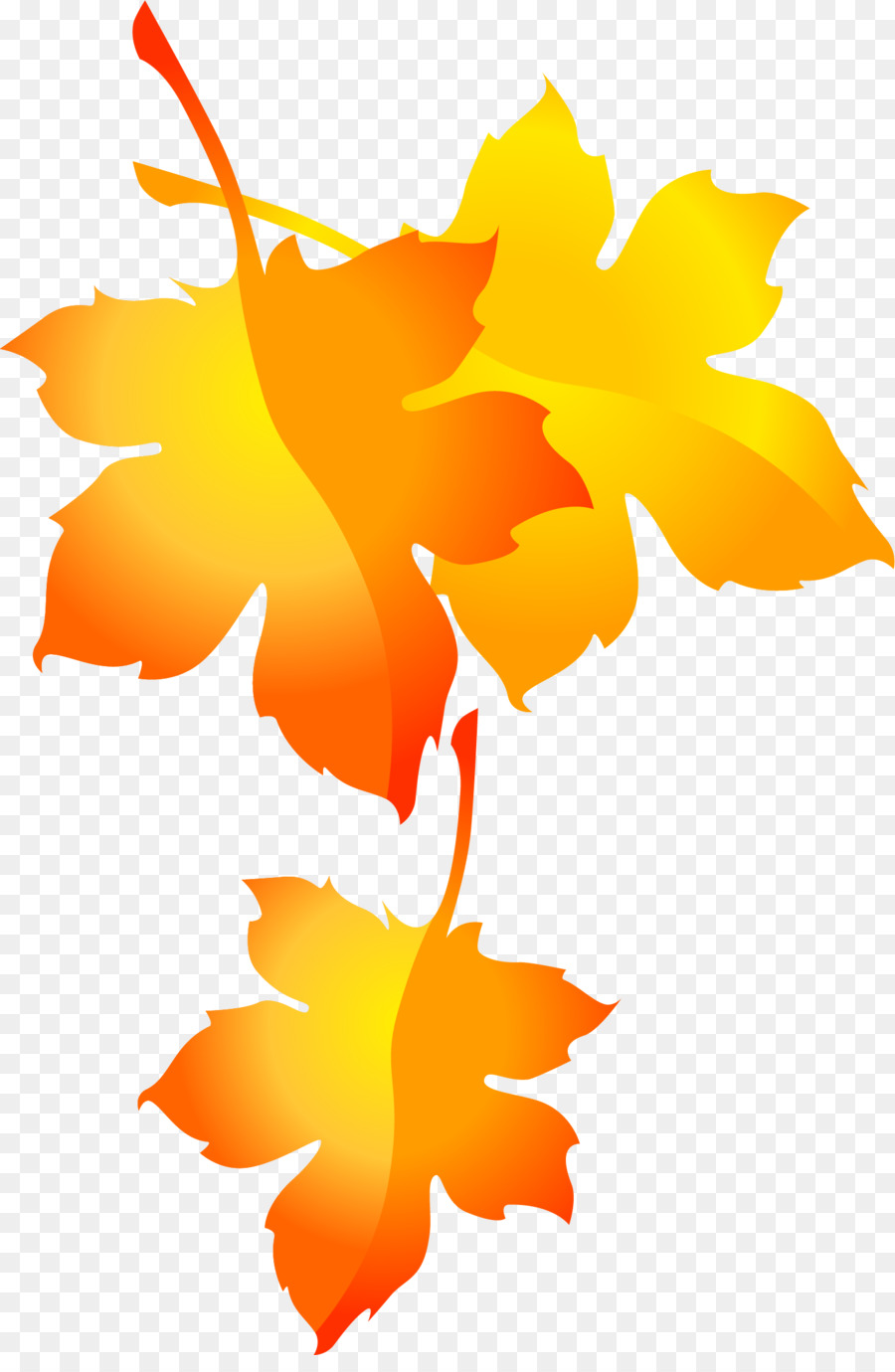 Maple Leaf，Folha PNG