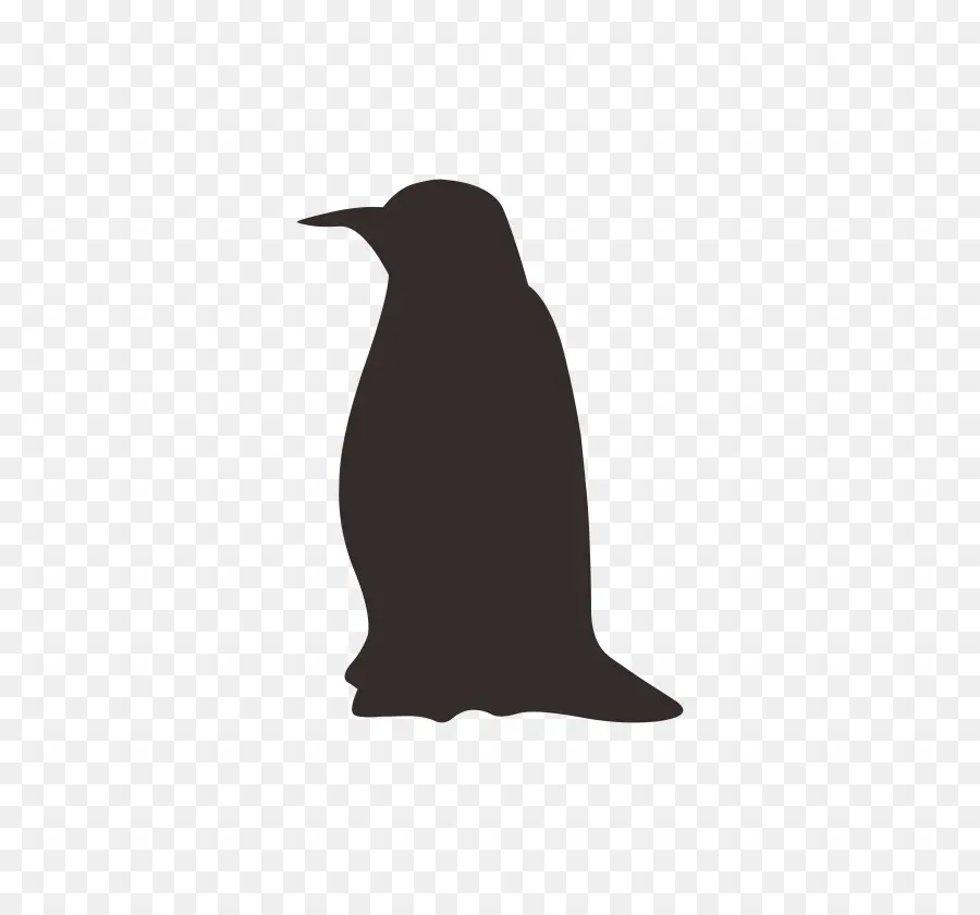 Silhueta De Pinguim，Pássaro PNG