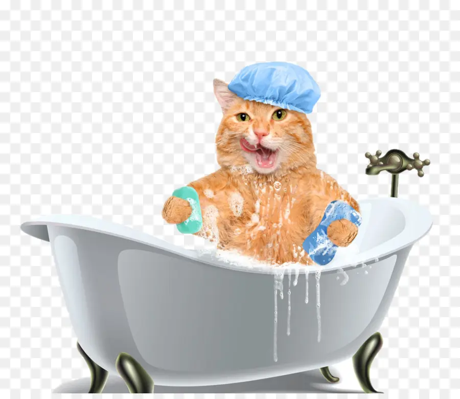 Gato Na Banheira，Banho PNG