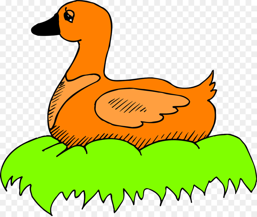 Pato Laranja，Pato PNG