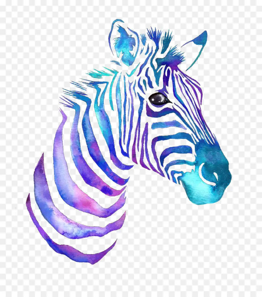 Pintura Em Aquarela，Zebra PNG