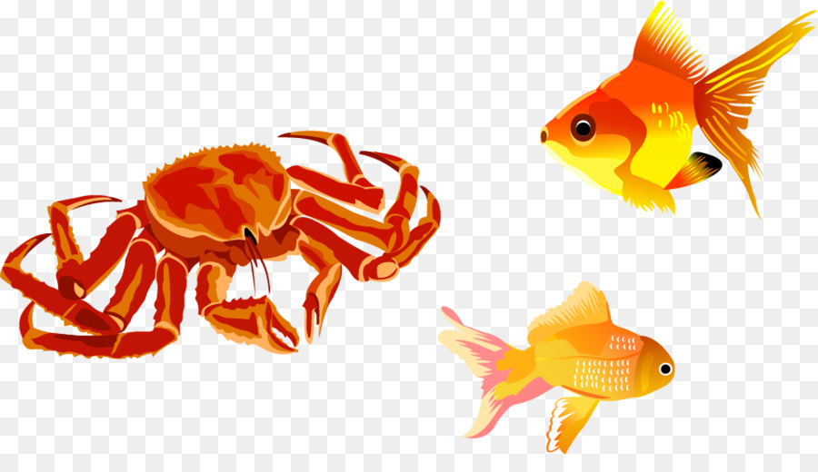 Peixe，Pesca PNG