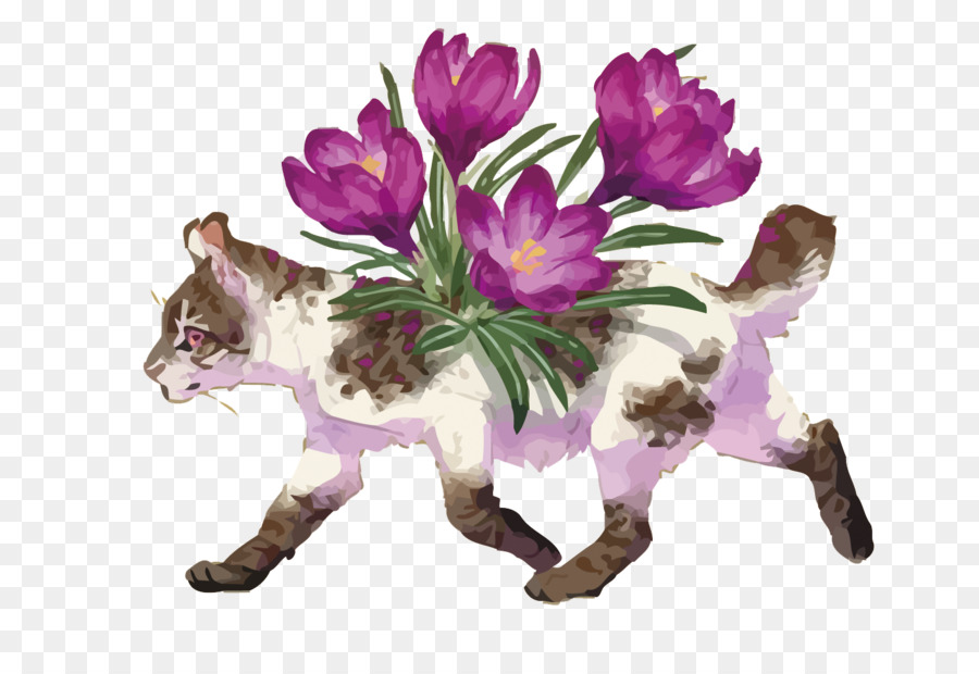 Gato Com Flores，Flores PNG