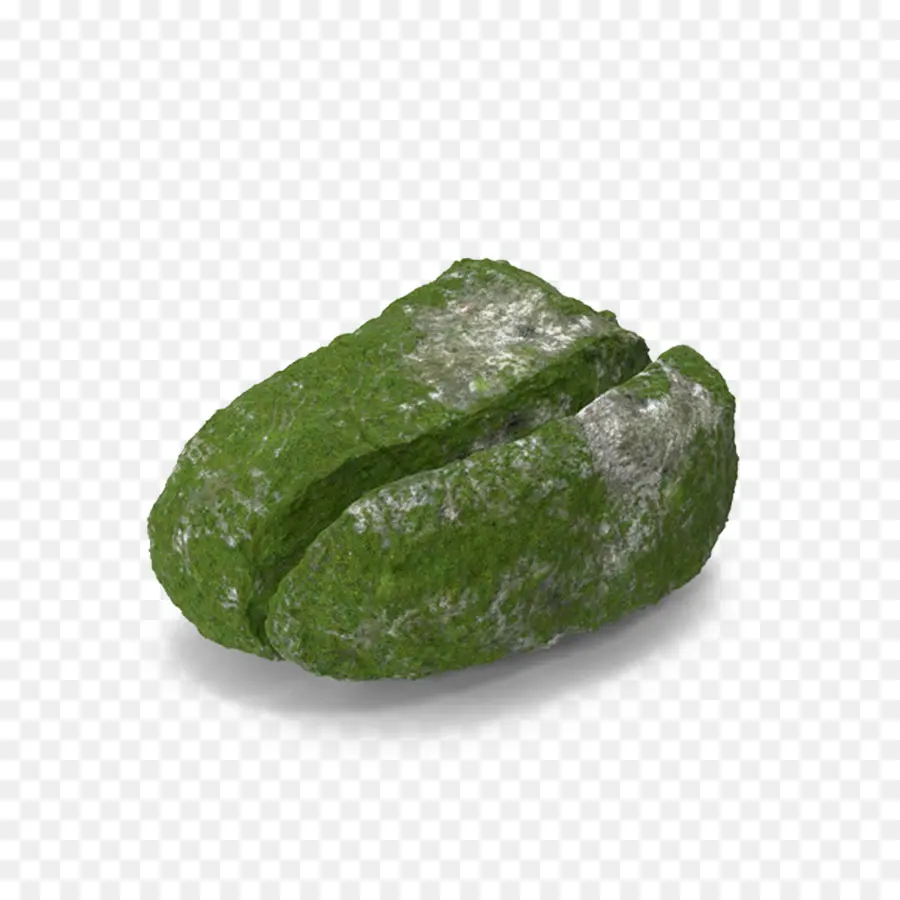 Rock，Moss PNG