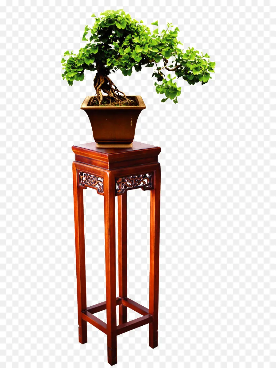 Bonsai，Móveis PNG