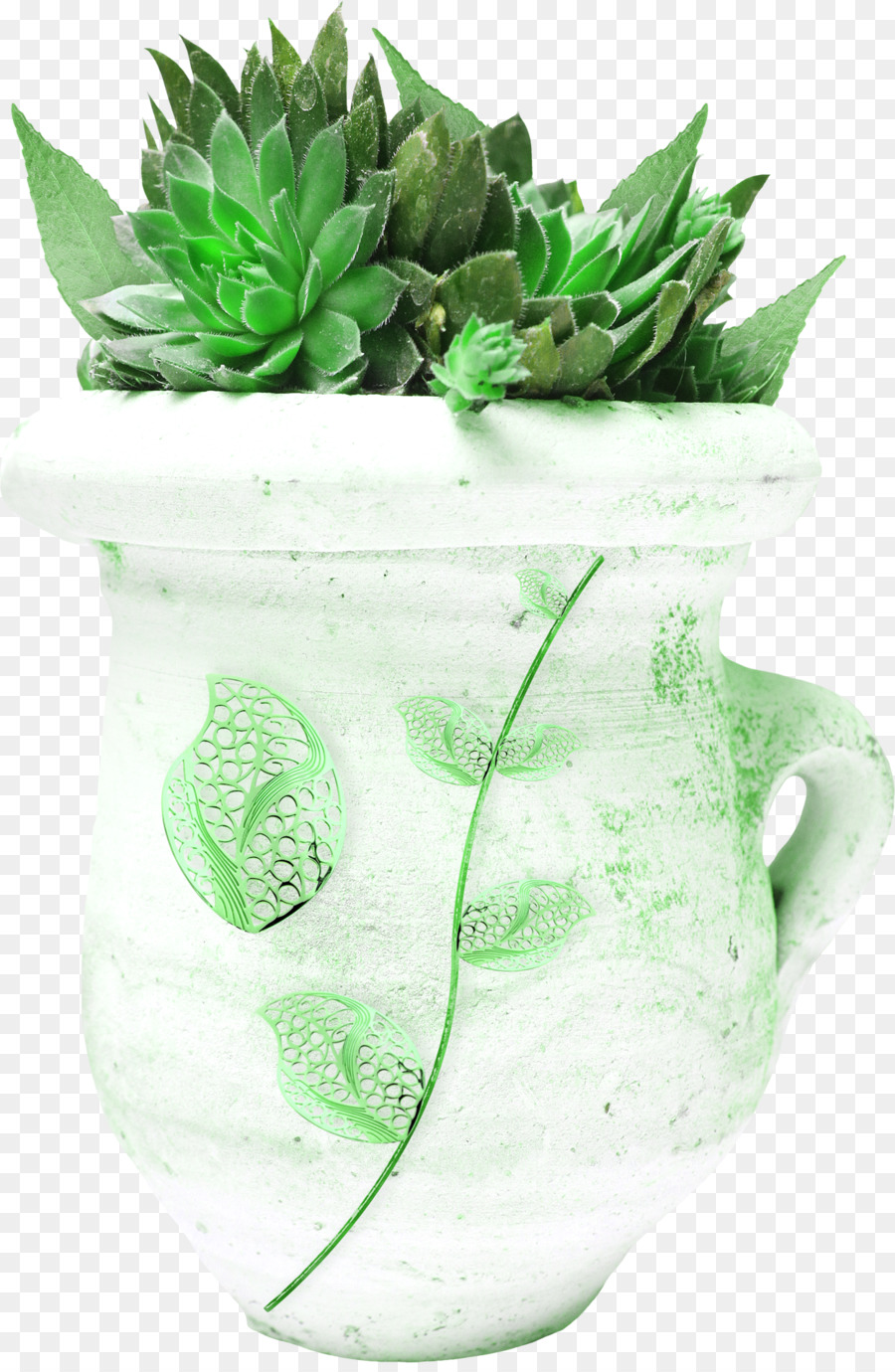 Planta，Suculenta Planta PNG