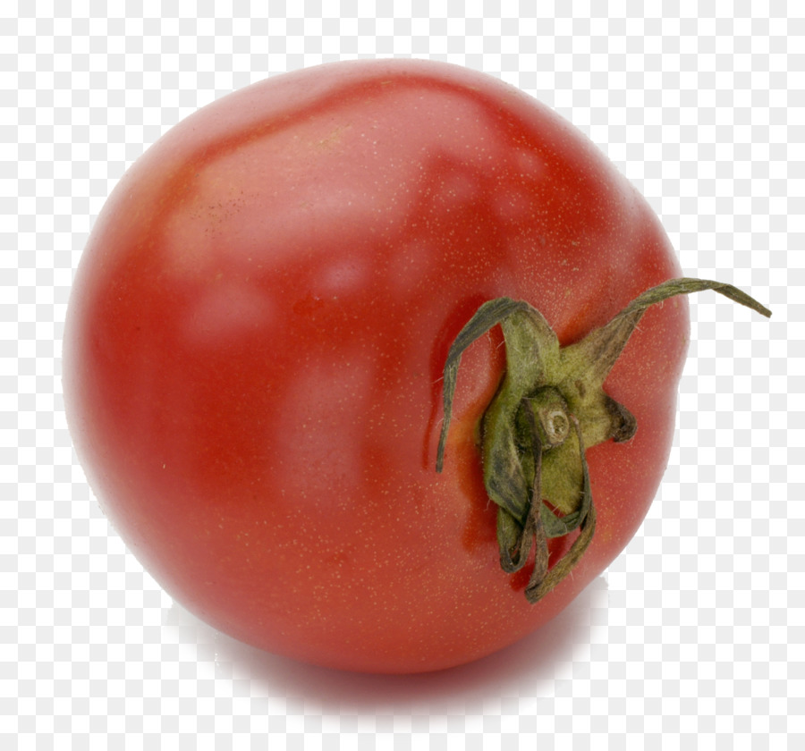 Plum Tomato，Ku014denji PNG