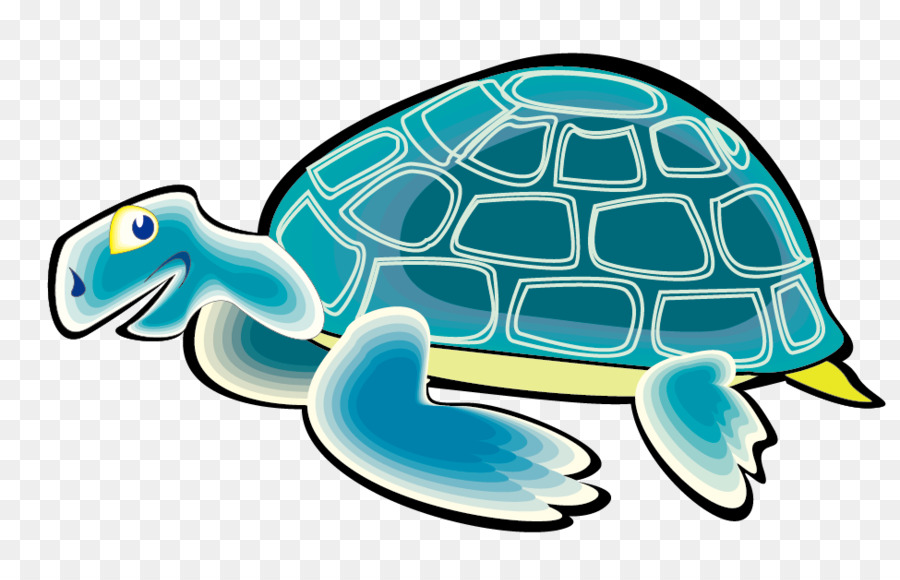 Turtle，Répteis PNG