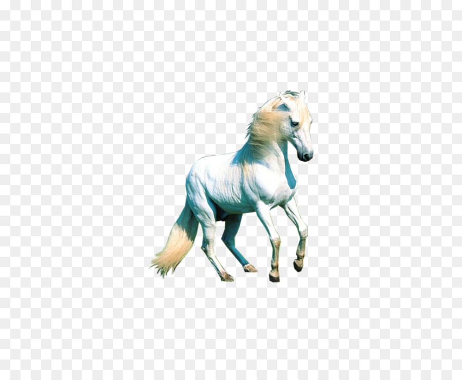 Mustang，Animais PNG