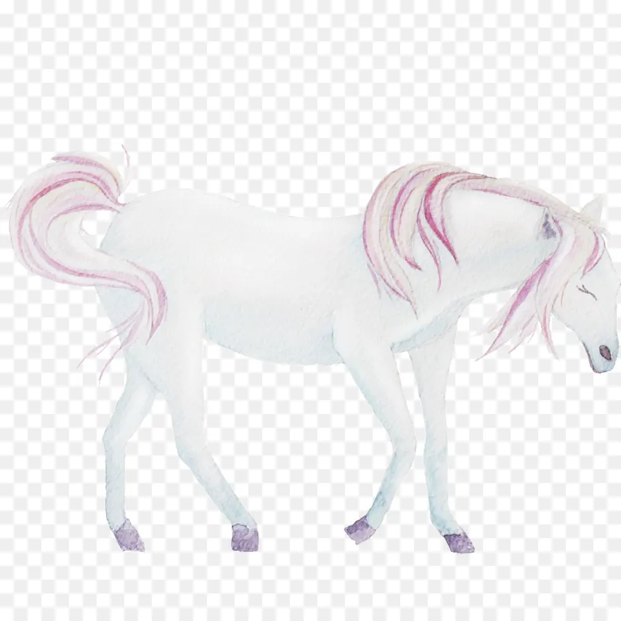 Cavalo Branco，Equino PNG