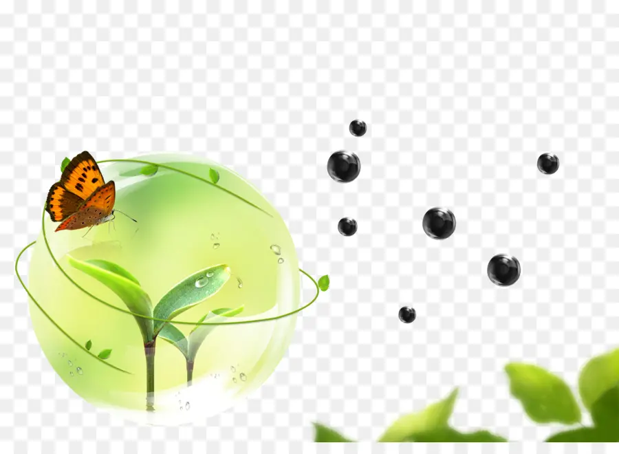 Borboleta E Planta，Borboleta PNG