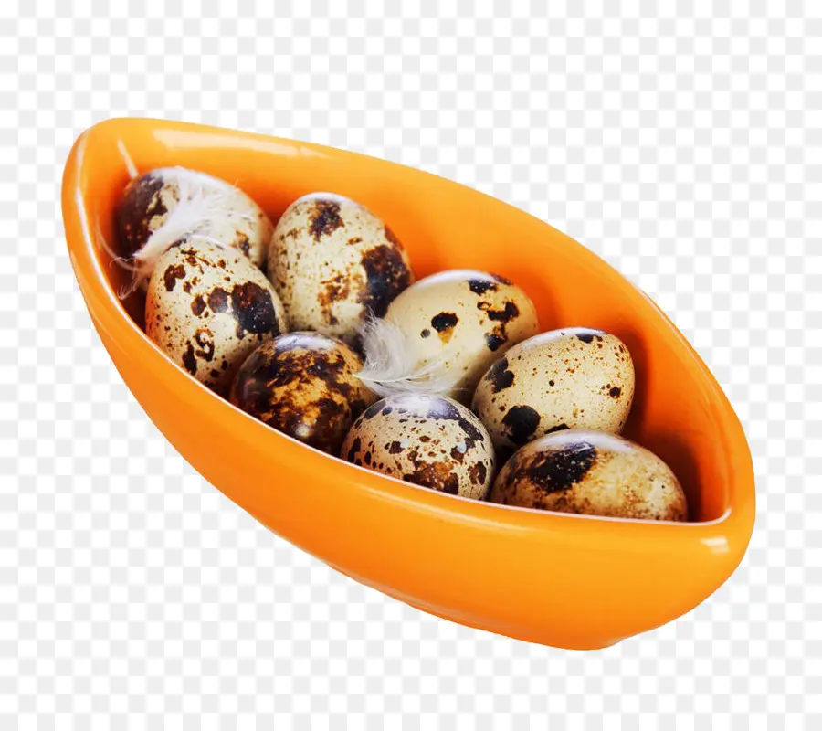 Ovos De Codorna，Ovo PNG