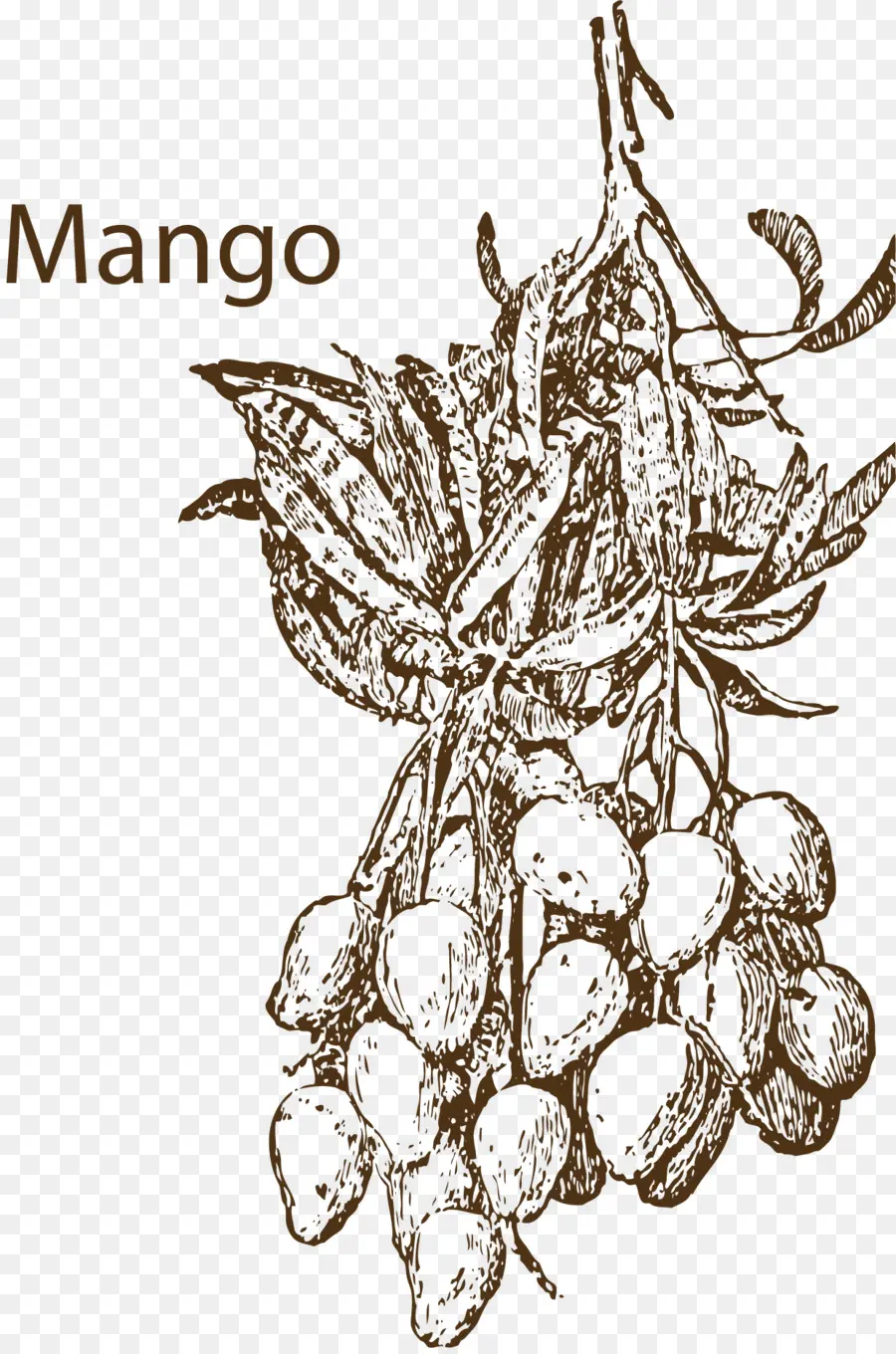 Manga，Tropical PNG