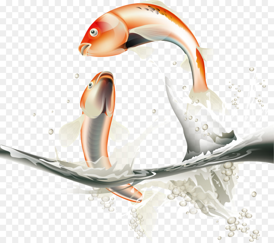 Peixe Saltando，água PNG