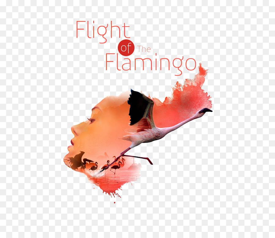 Voo Do Flamingo，Design Gráfico PNG