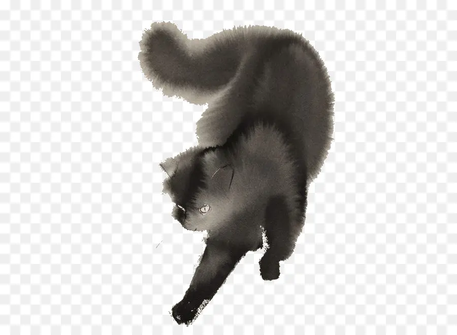 Gato Preto，Felino PNG