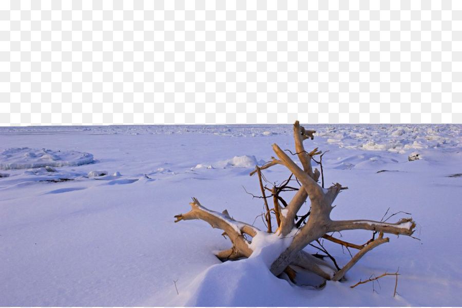 Paisagem Nevada，Neve PNG