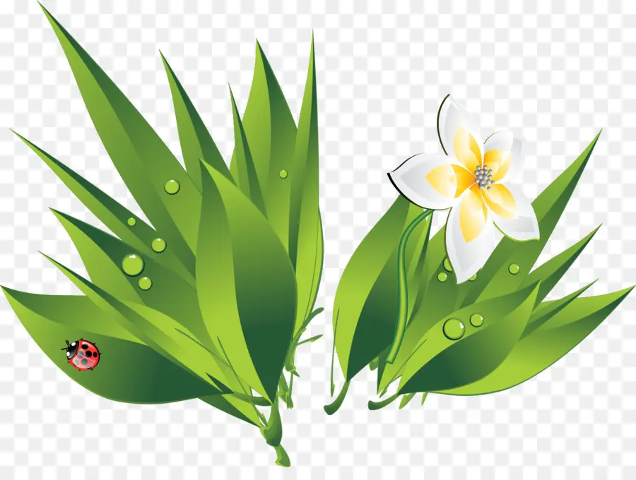 Folhas Verdes E Flores，Folhas PNG