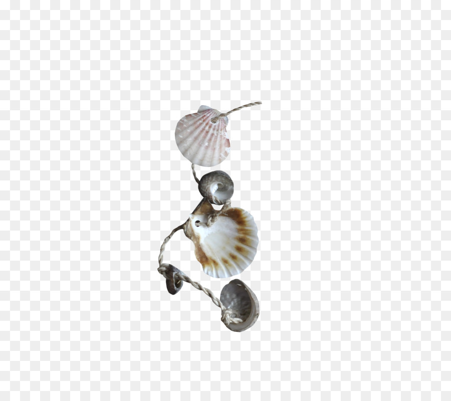 Seashell，Jóias PNG