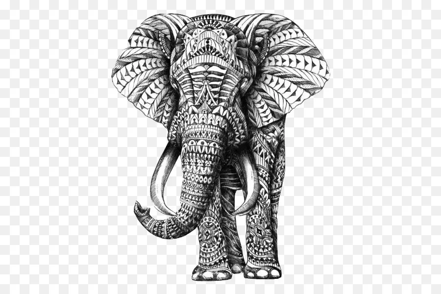 Elefante Indiano，Desenho PNG