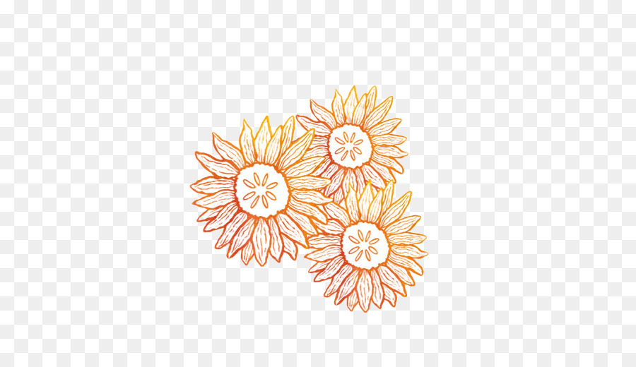 Design Floral，Laranja PNG