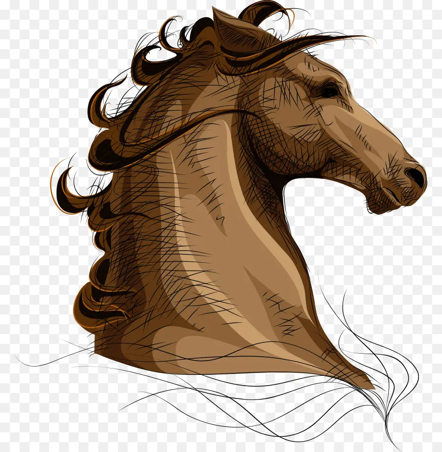 Cavalo Marrom，Cavalo PNG