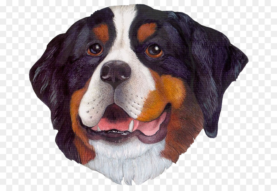 Cão，Gingerbread Bebê PNG