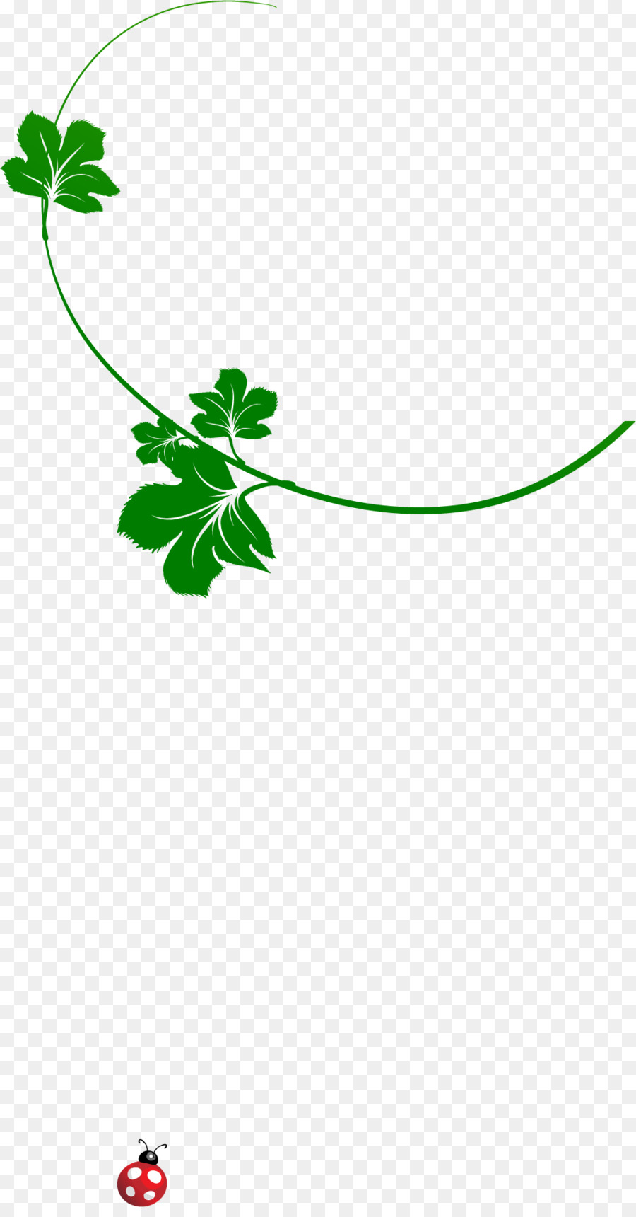 Corpete，Green PNG