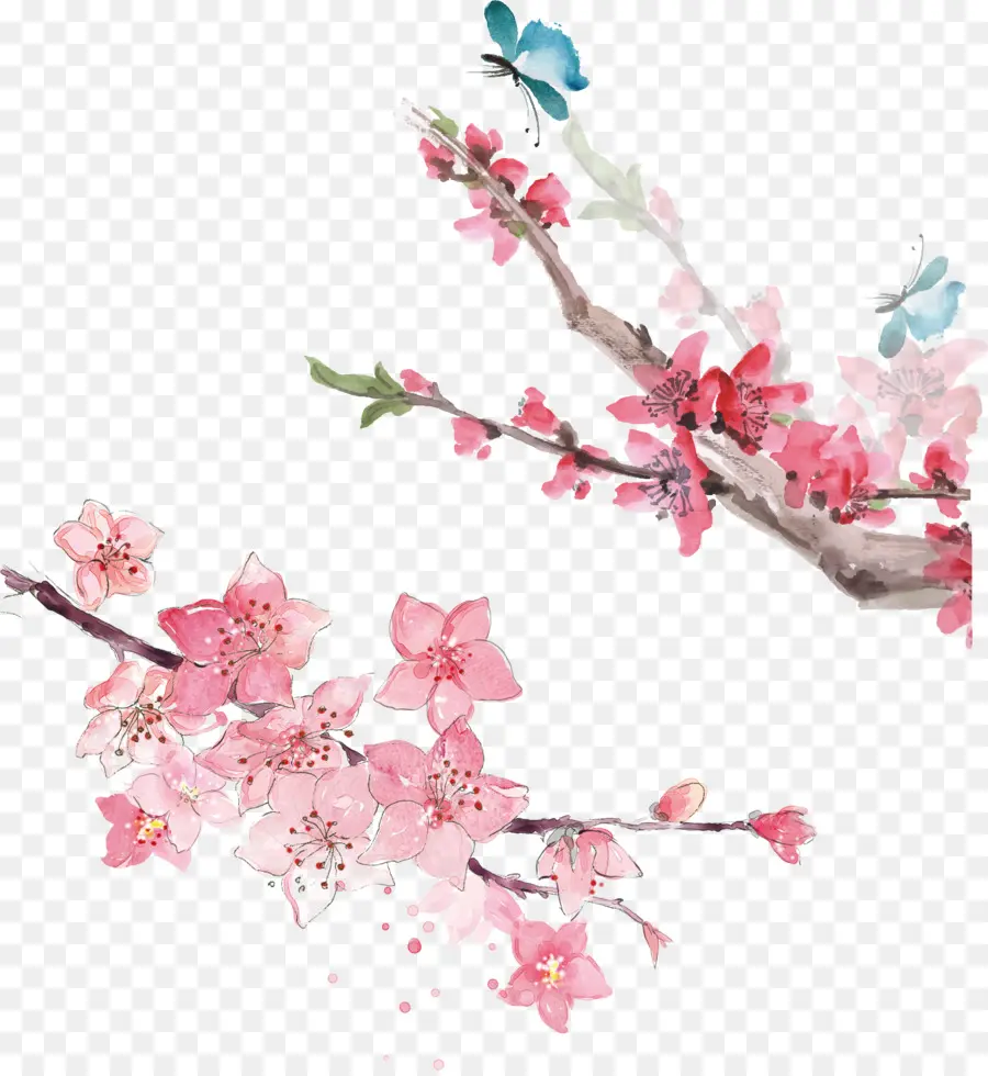 Aquarela Flores，Pintura Em Aquarela PNG