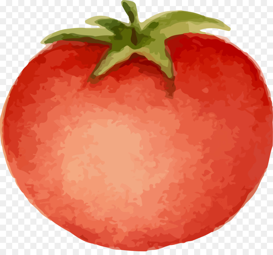 Tomate，Vermelho PNG