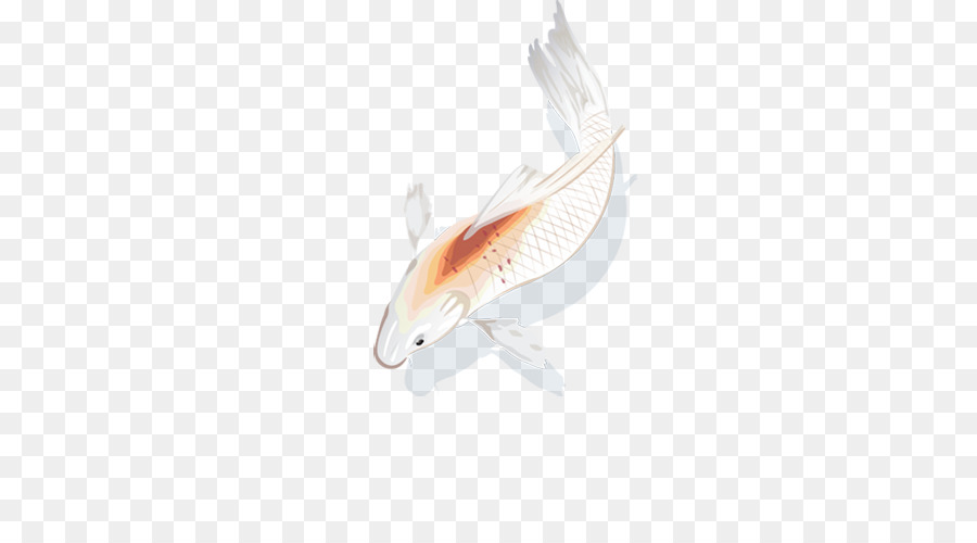 Isca De Pesca，Peixe PNG