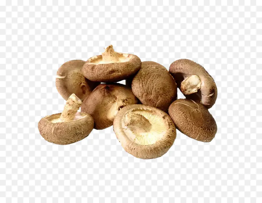 Shiitake，Hot Pot PNG