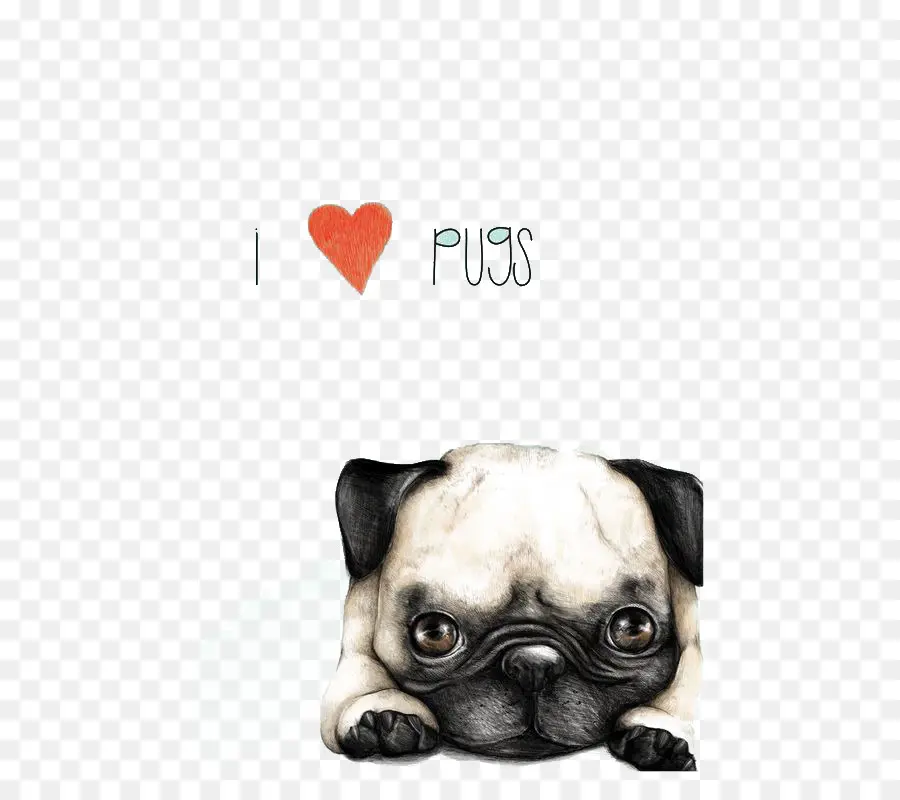 Pug，Filhote De Cachorro PNG