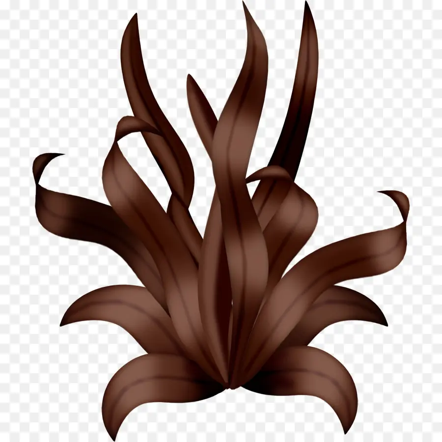 Planta Marrom，Folhas PNG