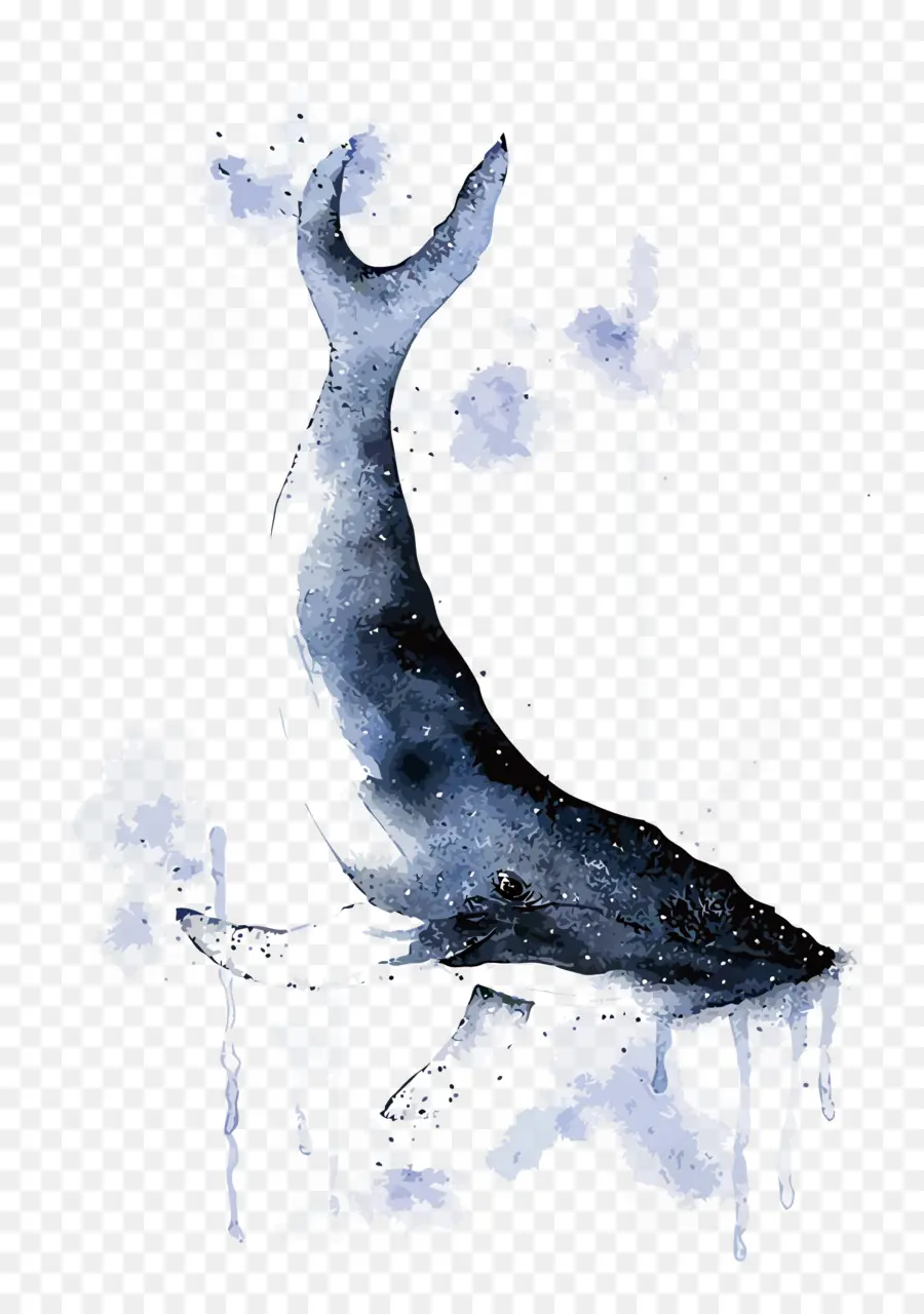 Baleia，Aquarela PNG