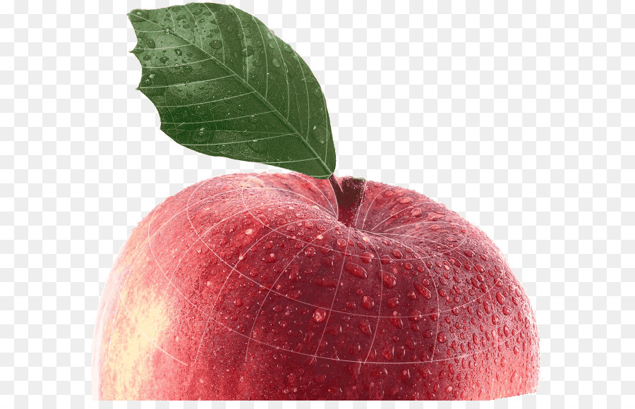 Apple，A Apple Lápis PNG