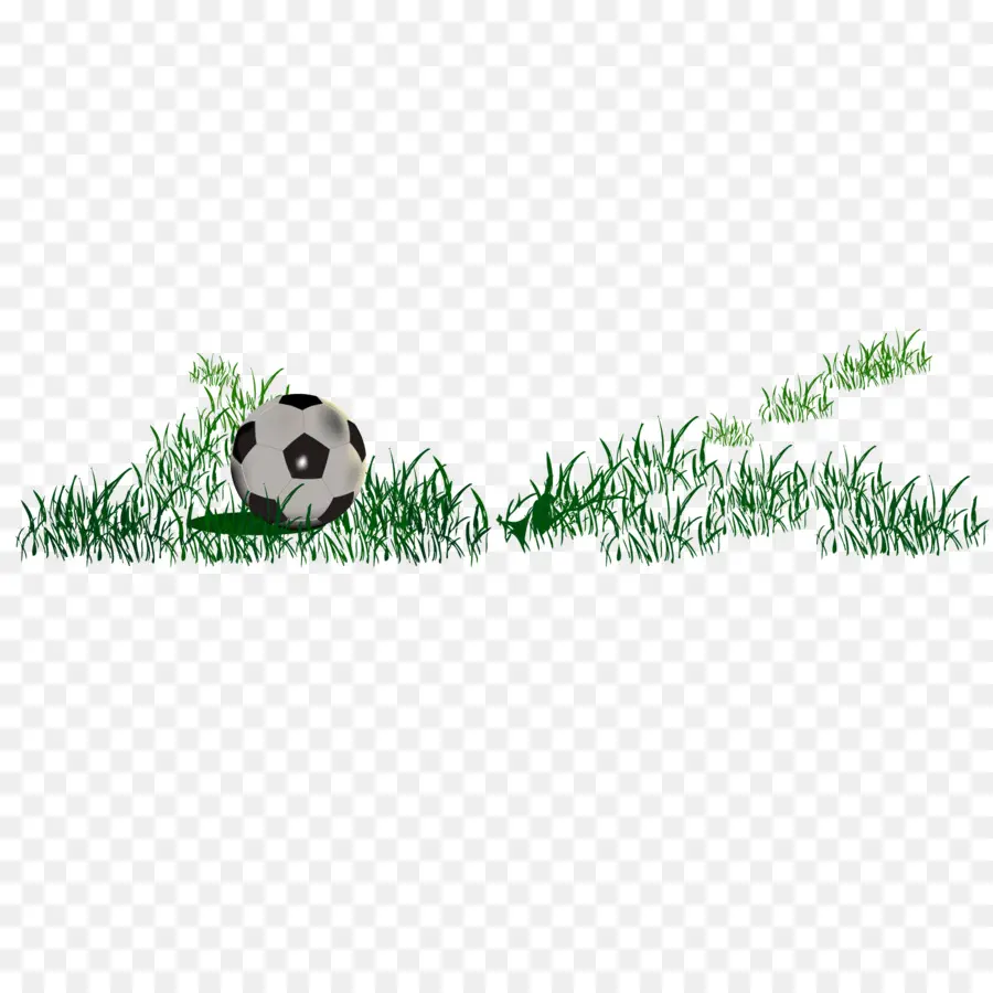 Bolas De Futebol，Futebol PNG