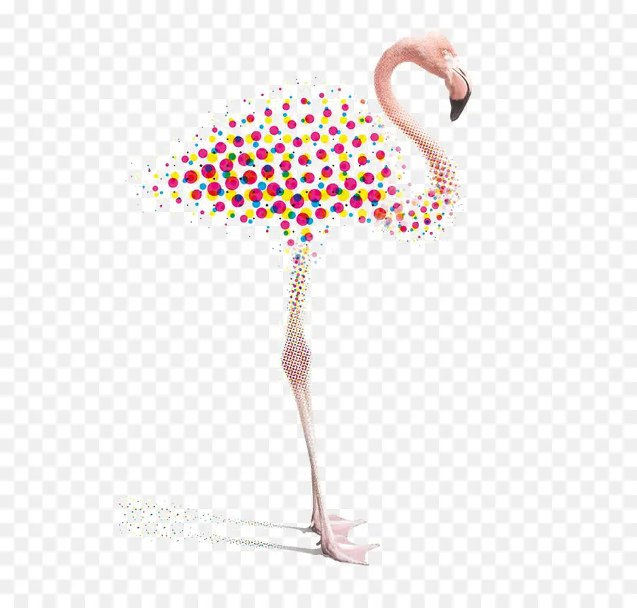 Design Gráfico，Flamingo PNG