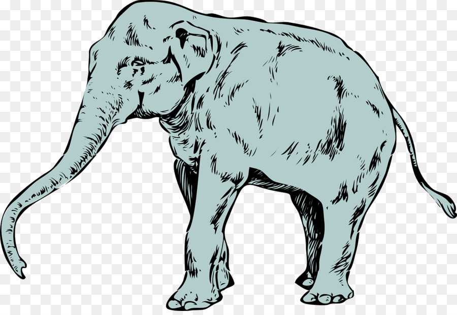 Elefante Verde，Porta Malas PNG