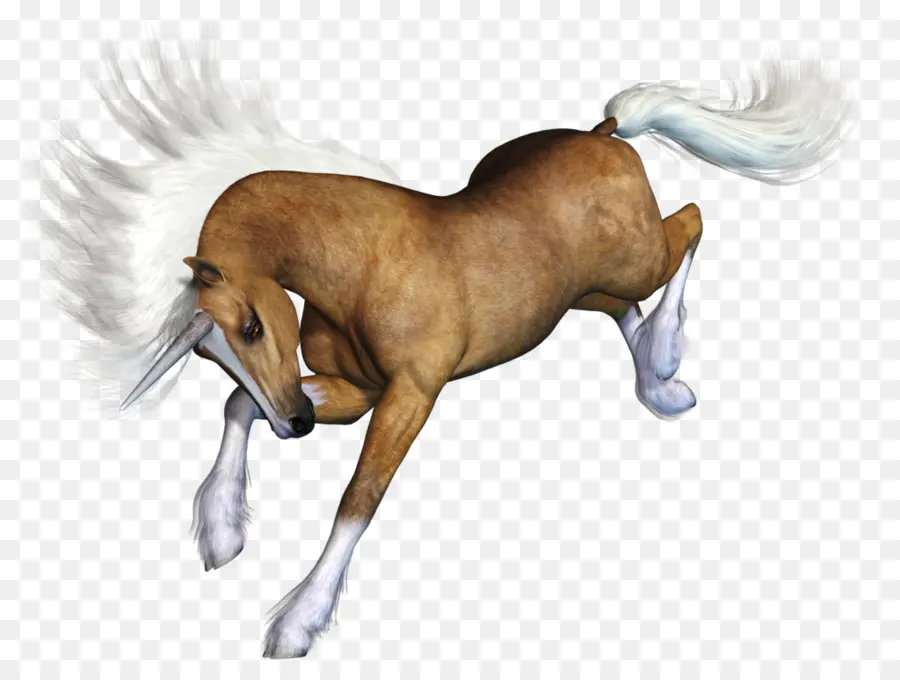 Cavalo，Correndo PNG