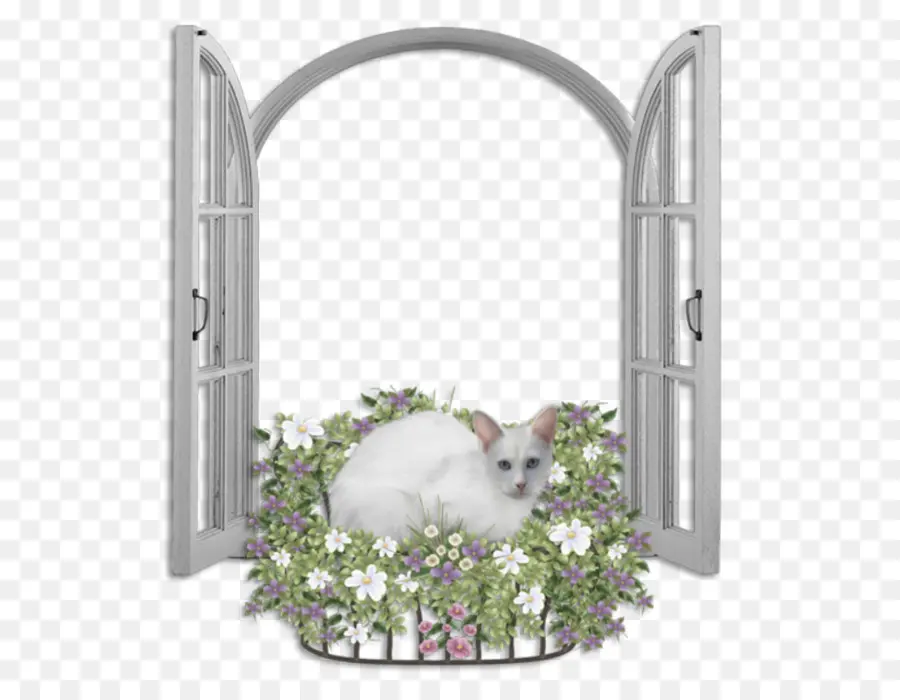 Gato No Canteiro De Flores，Gato PNG