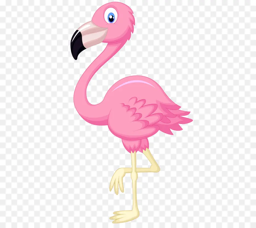 Flamingo Rosa，Pássaro PNG