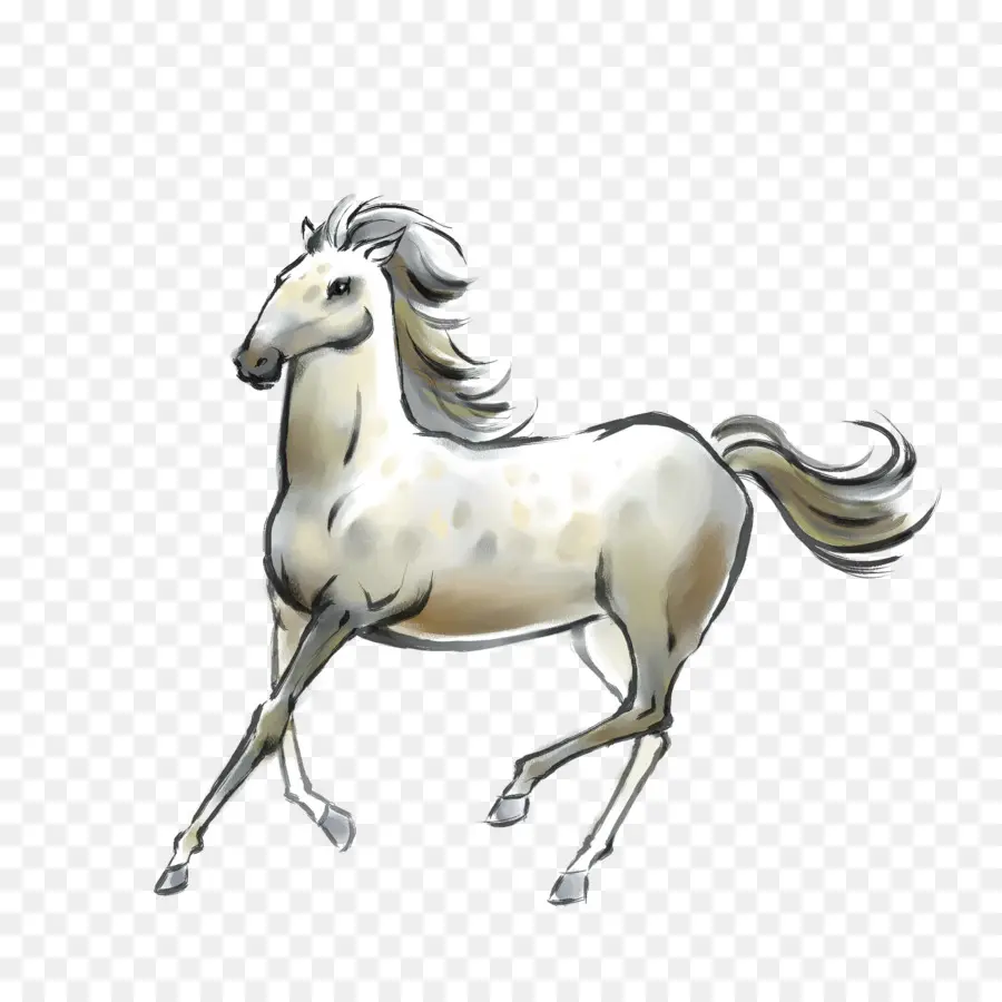 Cavalo，Equino PNG