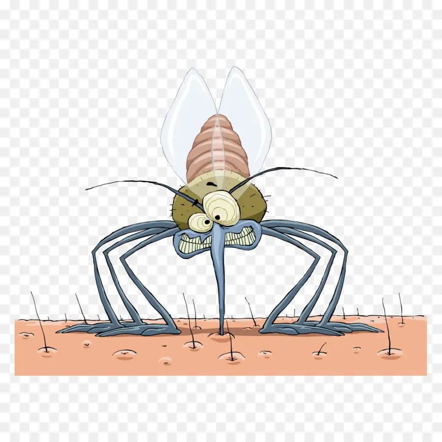 Mosquito，Morder PNG