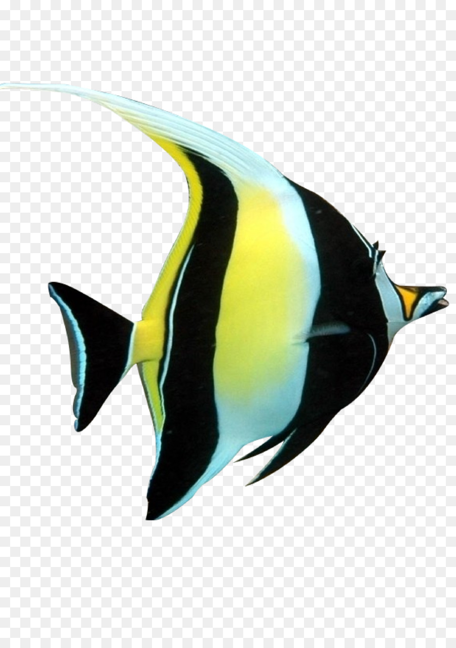 Peixe，Whitefish PNG