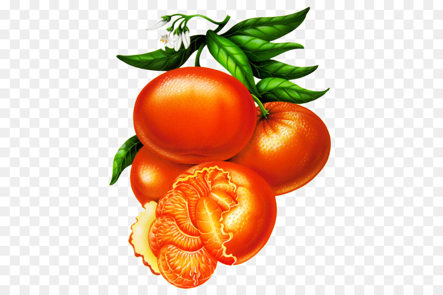 Ameixa Tomate，Mandarina PNG