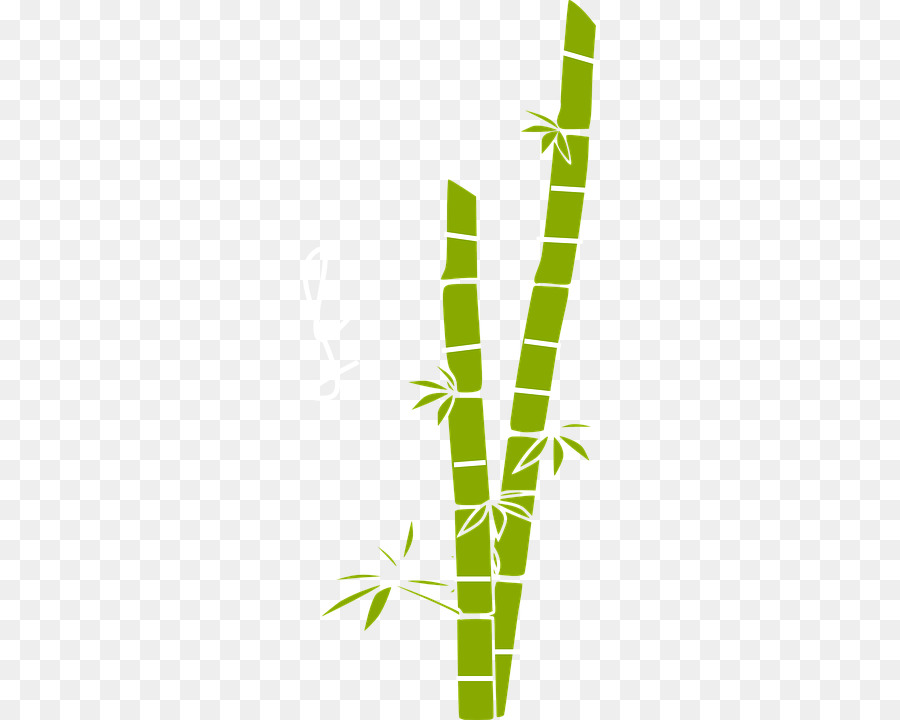 Bambu，Verde PNG