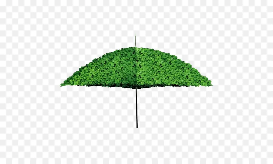 Guarda Chuva Verde，Folhas PNG