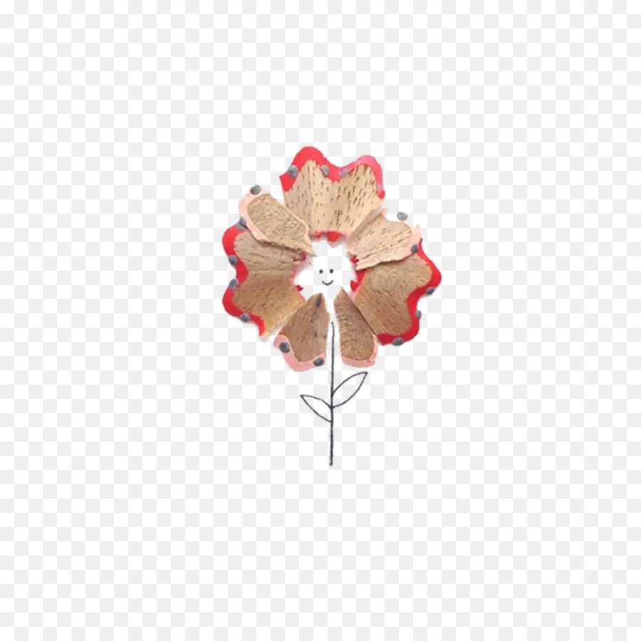 Flor De Aparas De Lápis，Desenho PNG